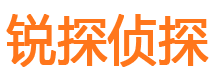 从江婚外情调查取证